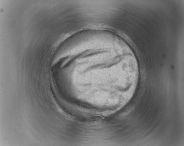 X0000053080433200508012010