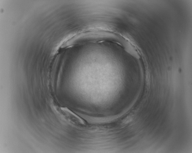 X0000053080434200508012010