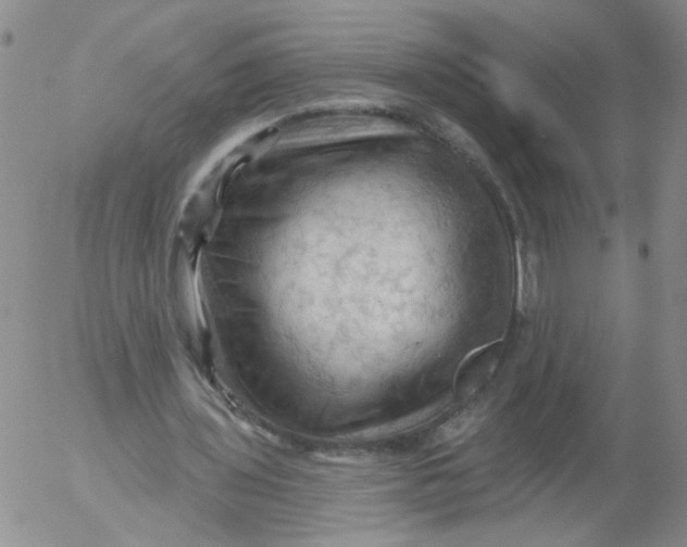 X0000053080435200508012010