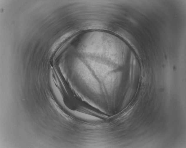 X0000053080437200508012010