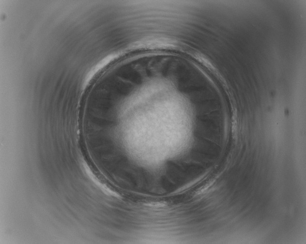 X0000053080438200508012010