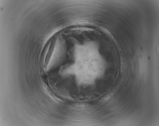 X0000053080439200508012010