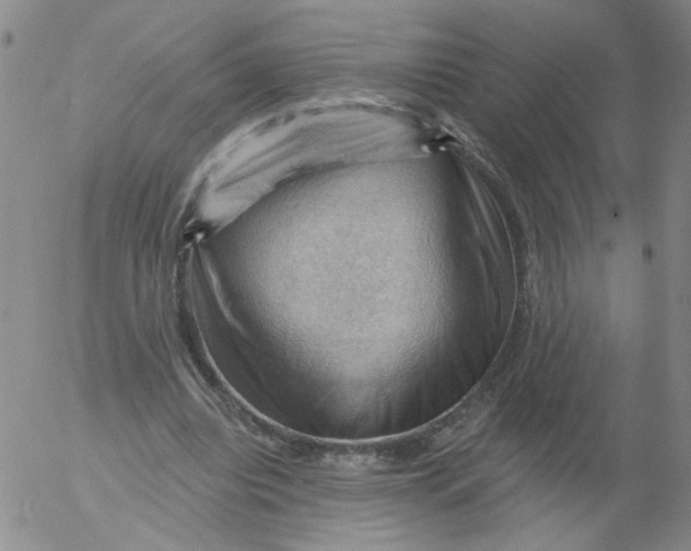 X0000053080440200508012010