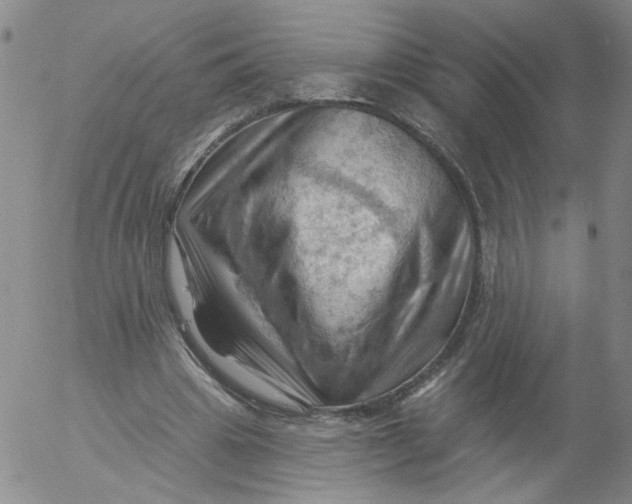 X0000053080441200508012010