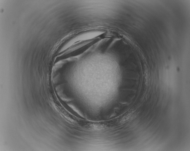 X0000053080442200508012010