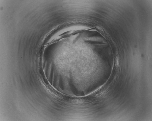 X0000053080444200508012010