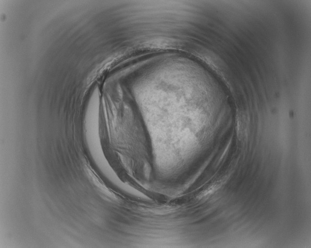 X0000053080445200508012010