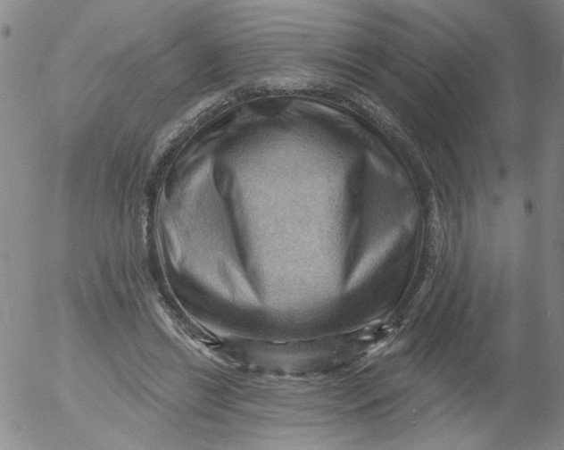 X0000053080446200508012010