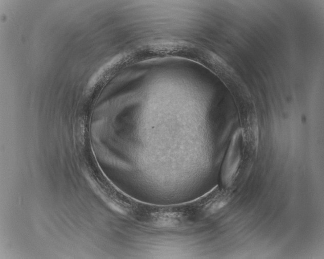 X0000053080448200508012010