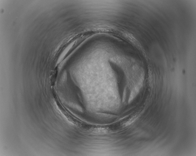 X0000053080449200508012010