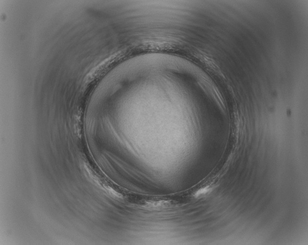 X0000053080450200508012010