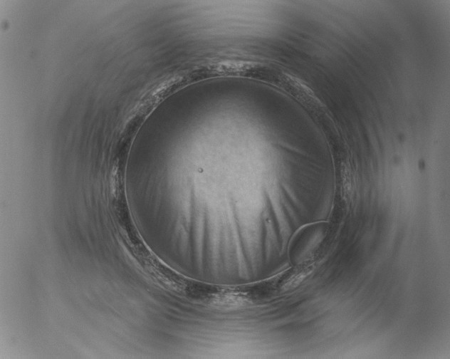 X0000053080451200508012010