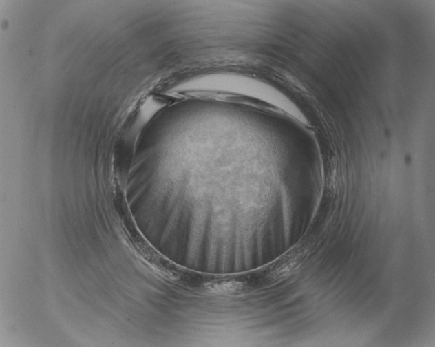 X0000053080452200508012010