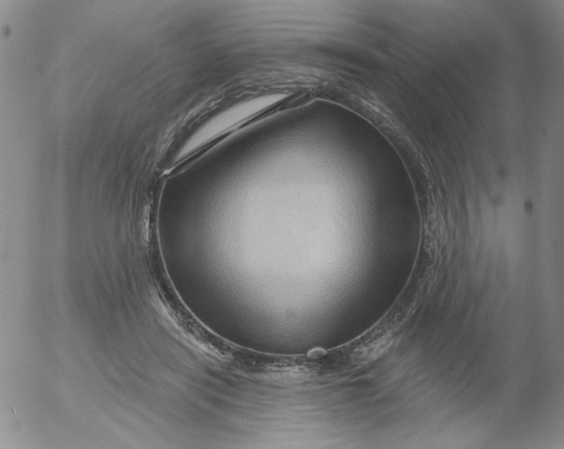 X0000053080454200508012010