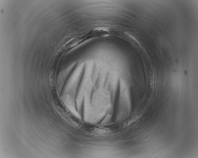 X0000053080455200508012010