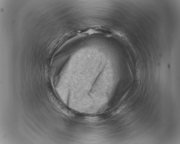 X0000053080457200508012010