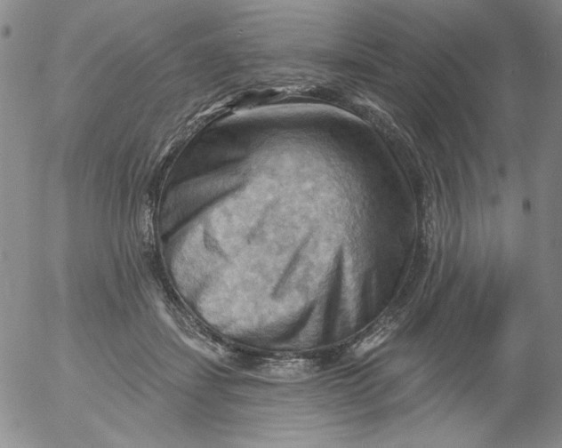 X0000053080459200508012010