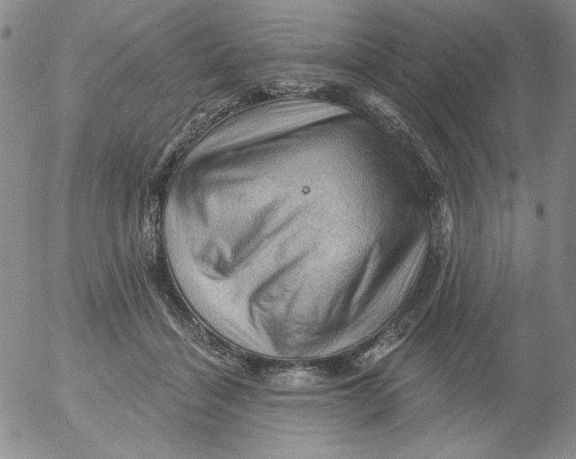 X0000053080460200508012010