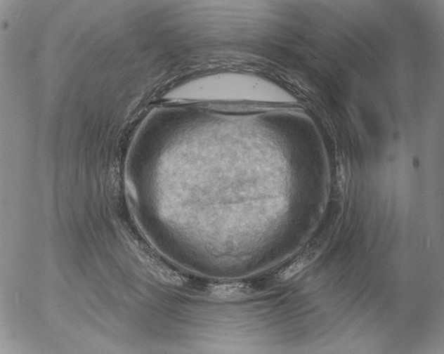 X0000053080461200508012011