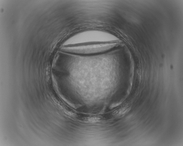 X0000053080462200508012011