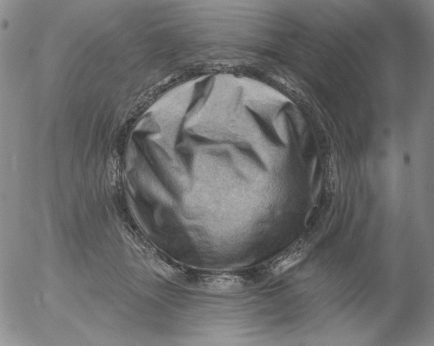 X0000053080463200508012011