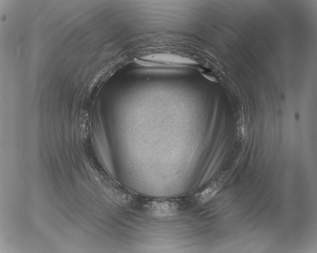 X0000053080464200508012011