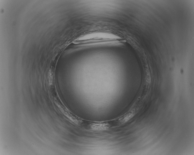 X0000053080465200508012011