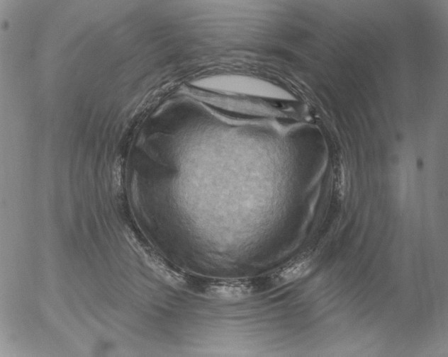 X0000053080466200508012011