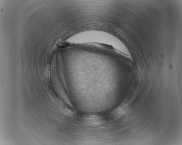 X0000053080467200508012011