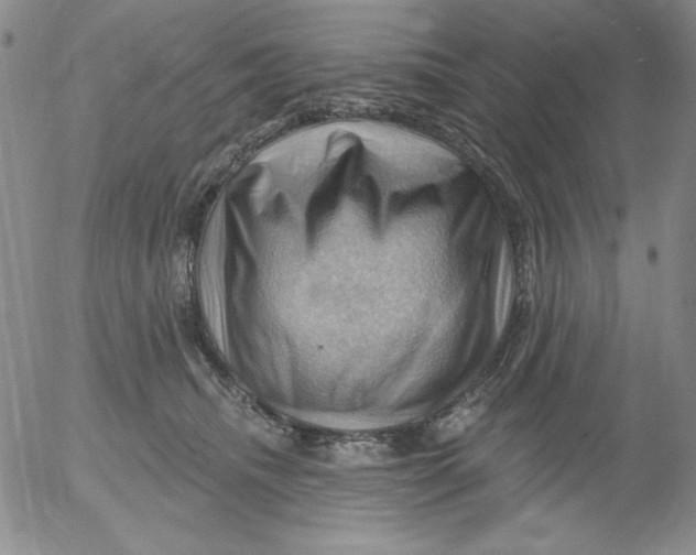 X0000053080468200508012011