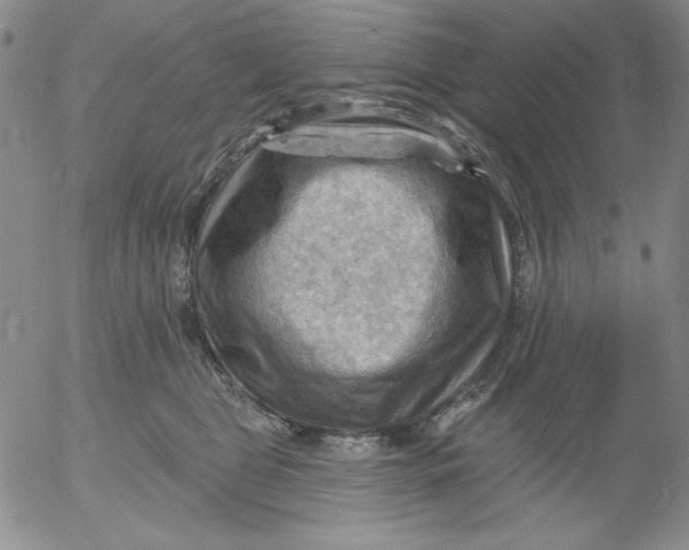 X0000053080469200508012011