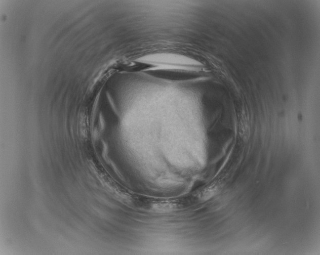 X0000053080470200508012011