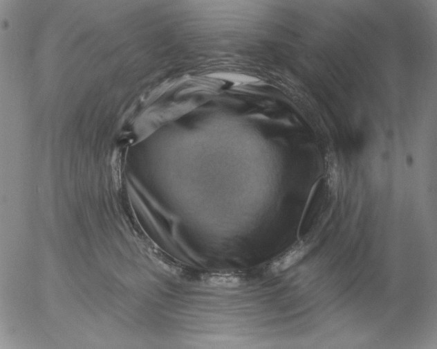 X0000053080471200508012011