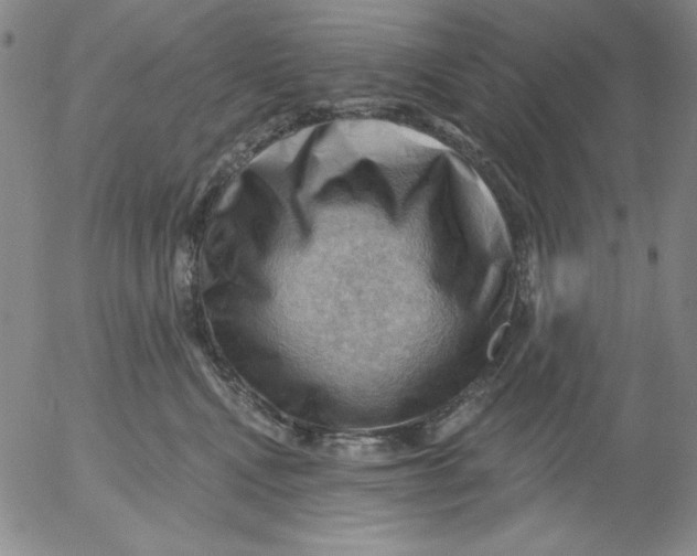 X0000053080472200508012011