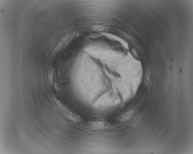 X0000053080473200508012011