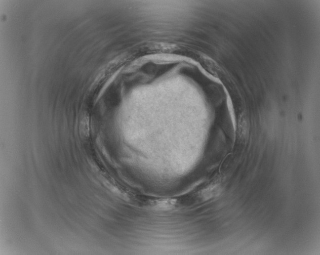 X0000053080474200508012011