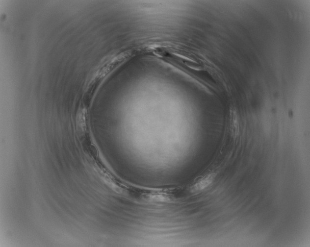 X0000053080475200508012011