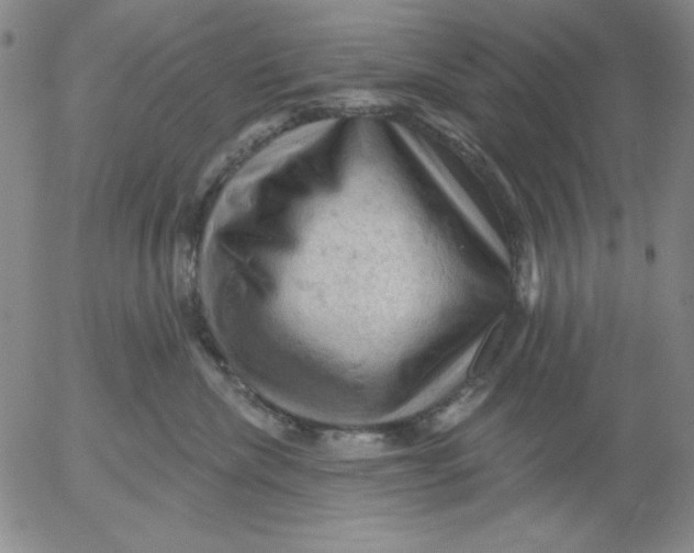 X0000053080476200508012011