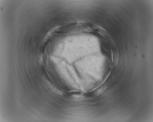 X0000053080477200508012011