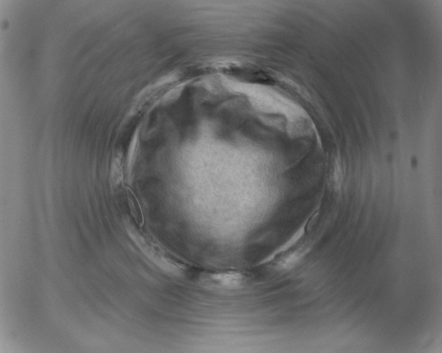 X0000053080478200508012011