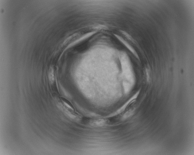 X0000053080479200508012011