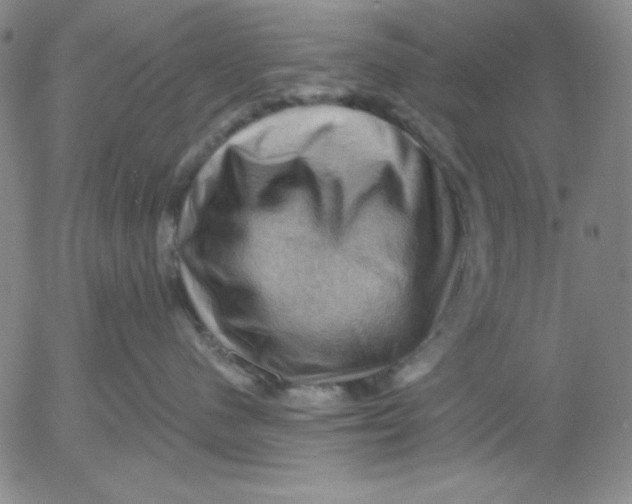 X0000053080480200508012011