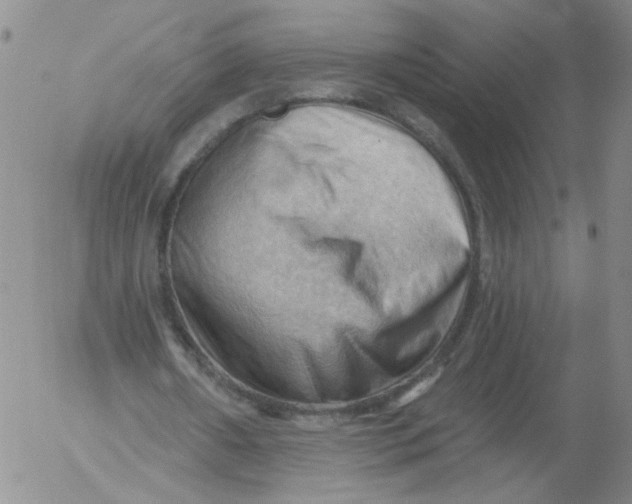 X0000053080482200508012010