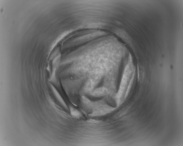 X0000053080483200508012010