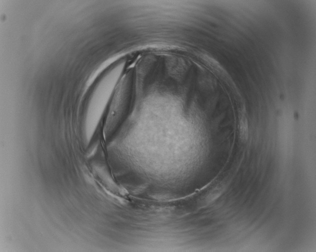 X0000053080484200508012010