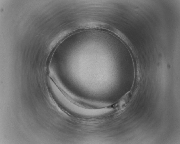 X0000053080485200508012010