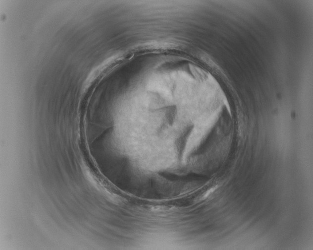 X0000053080486200508012010