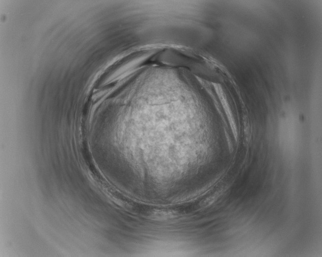 X0000053080487200508012010