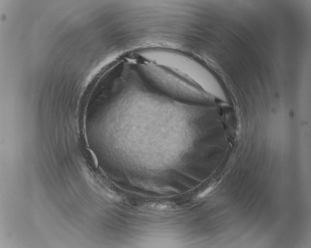 X0000053080488200508012010