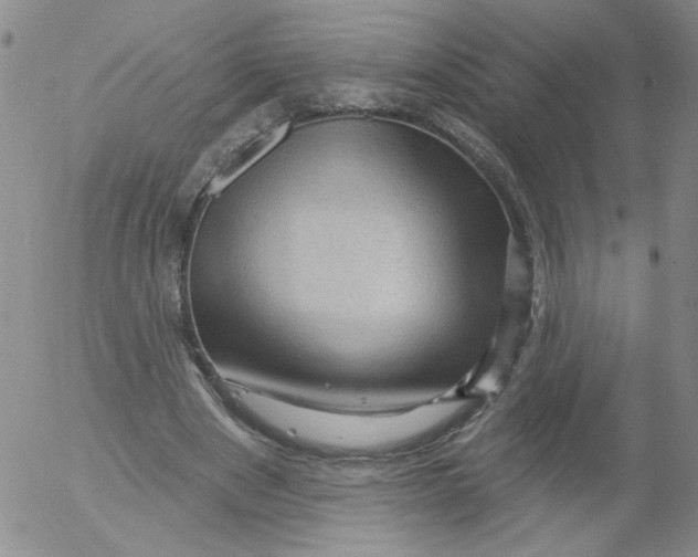 X0000053080489200508012010